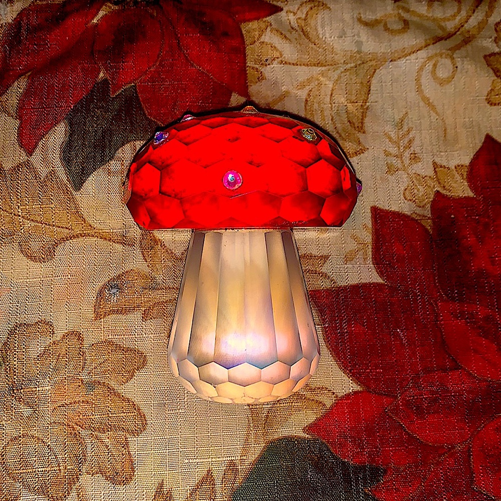 Mushroom - Picture 3 of 3